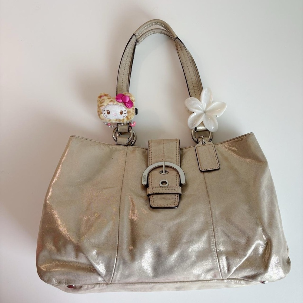 Vintage Coach Bag